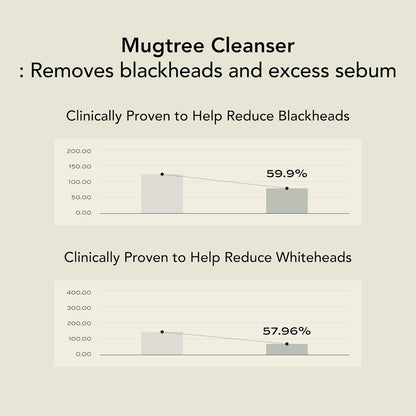 WHIPPED Cream Facial Cleanser